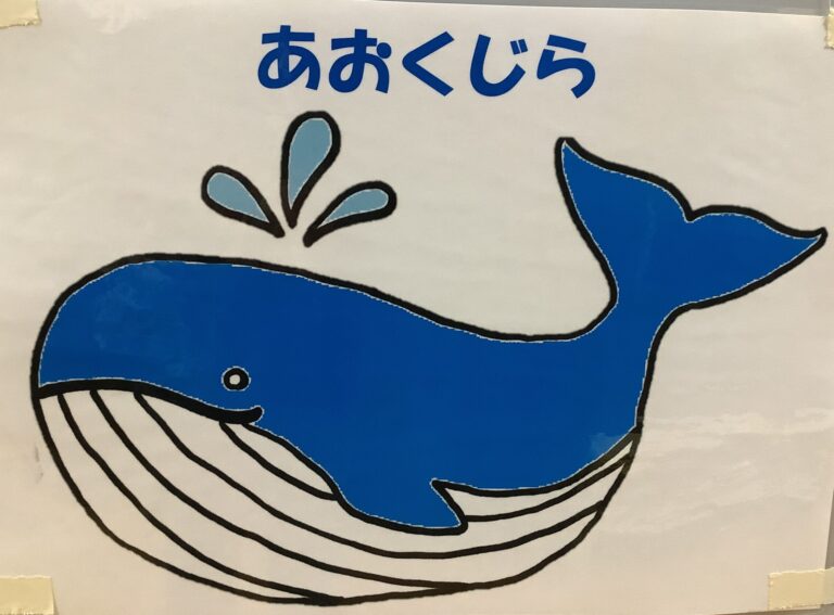 あおくじらDAY（あおくじらチーム）